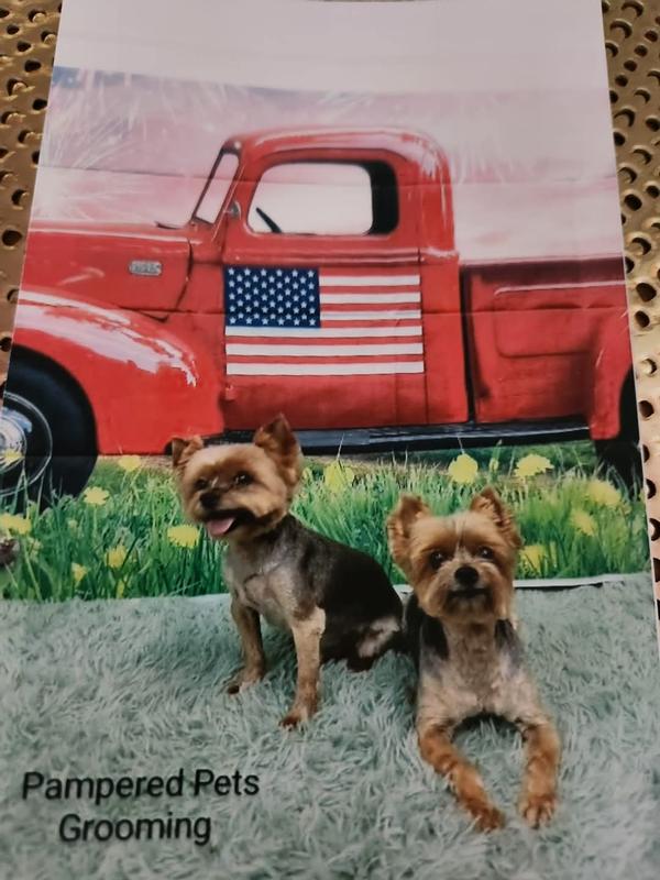 Ricci Ricardo & CynDee