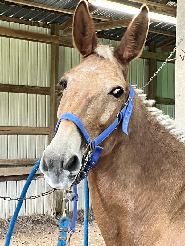 Lynn-Willa, our family treasure