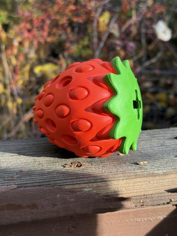 Such an adorable toy!