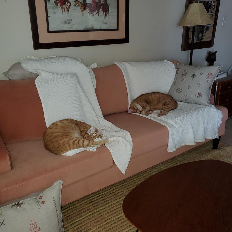 two large male ginger cats sleeping on an orange sofa