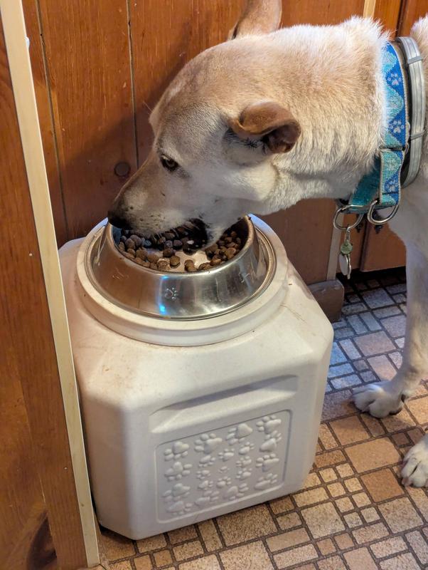 Our picky dog, who started out on the streets of Cairo, Egypt, likes it too!