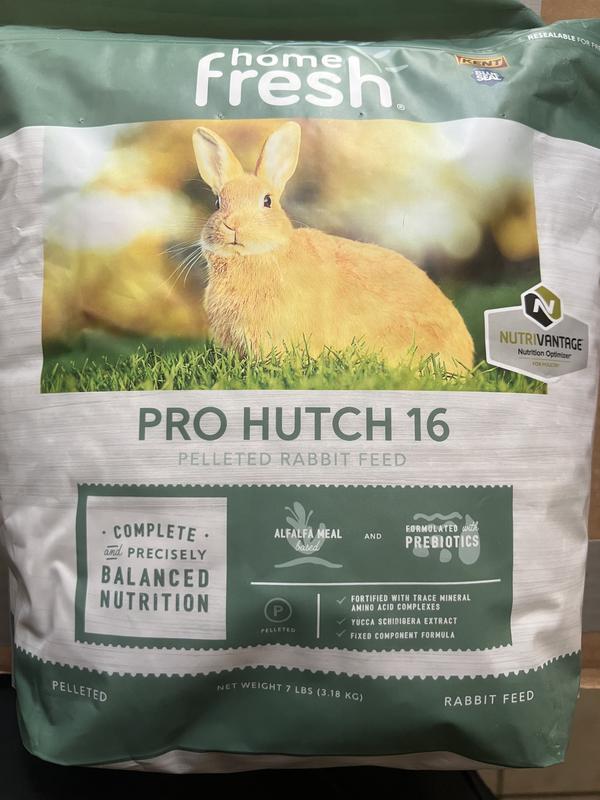 KENT BLUE SEAL Home Fresh Pro Hutch 16 Pellet Rabbit Food 50 lb bag Chewy