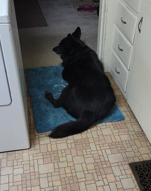 Dirty Dog Doormats Brown - Teton Tails