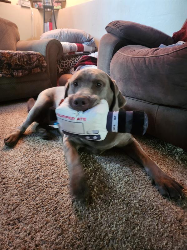 Show the toy size in this 100 pound girls mouth.