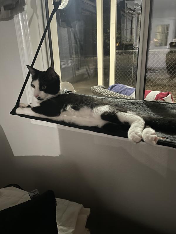 K&H PET PRODUCTS EZ Mount Cat Window Perch, Gray