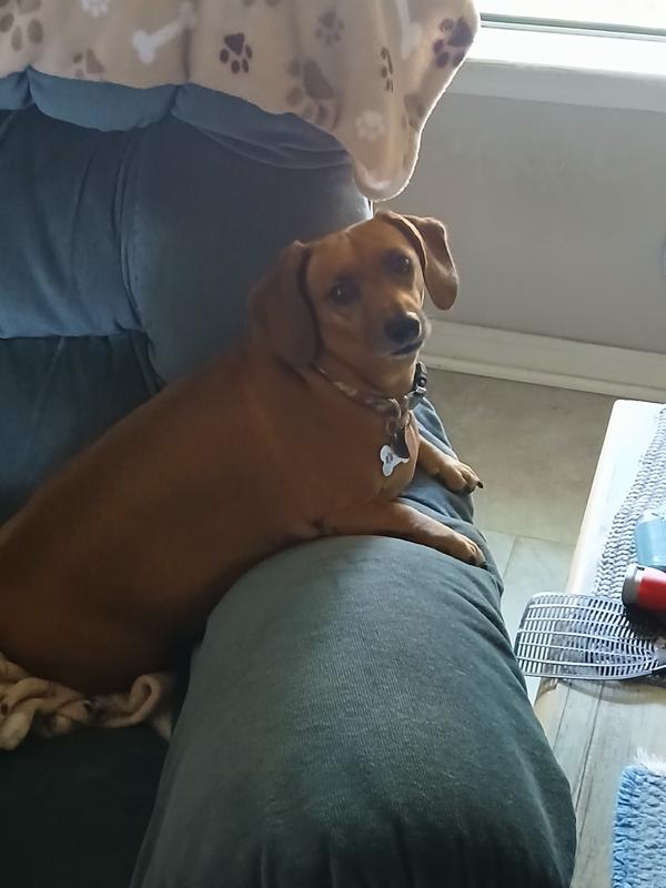 Healthy and more active