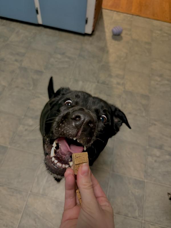 Gin and Arrow munchin & crunchin