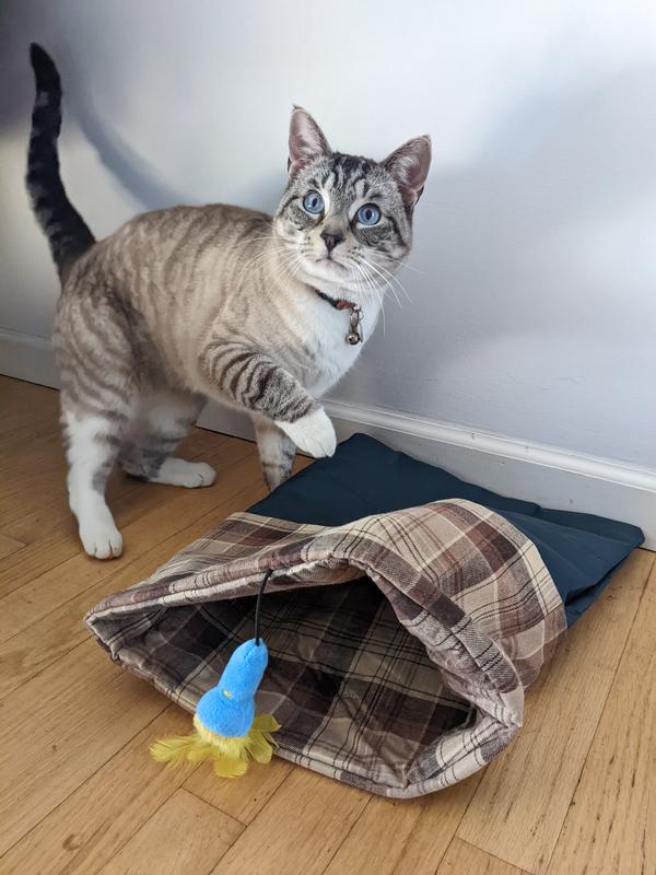 Checking it out (I propped it open a little)