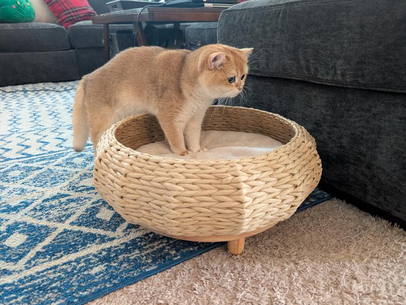 2 feet in is actually a huge win for us lol