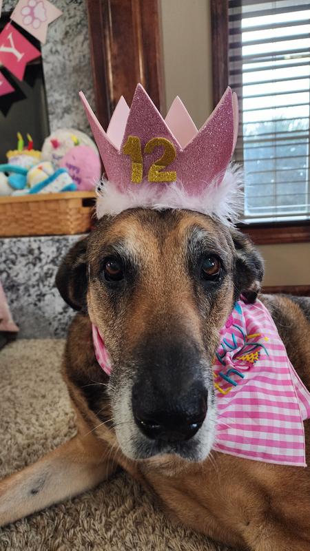 #12 Birthday for Lily