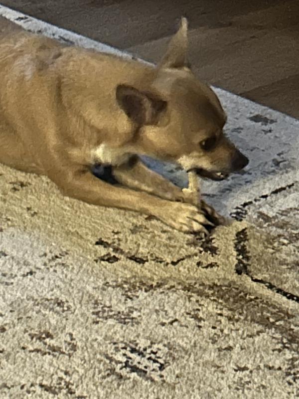 Ted eating methodically