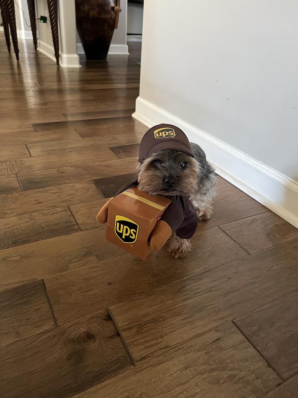 CALIFORNIA COSTUMES UPS Delivery Driver Dog & Cat Costume, XSmall