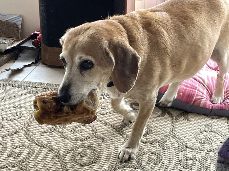 BONES & CHEWS Made in USA Beef Hock Bone Dog Treat, 2 count