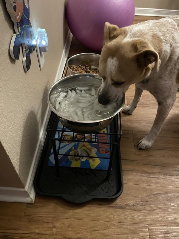 Fits large water bowls perfectly!