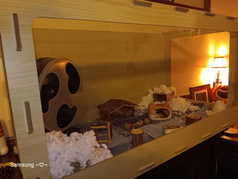 You can fit anything in it.