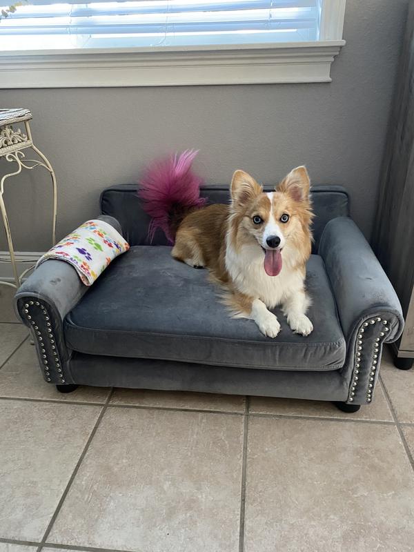 FRISCO Sofa Pet Bed with Removable Cover, Gray, Medium