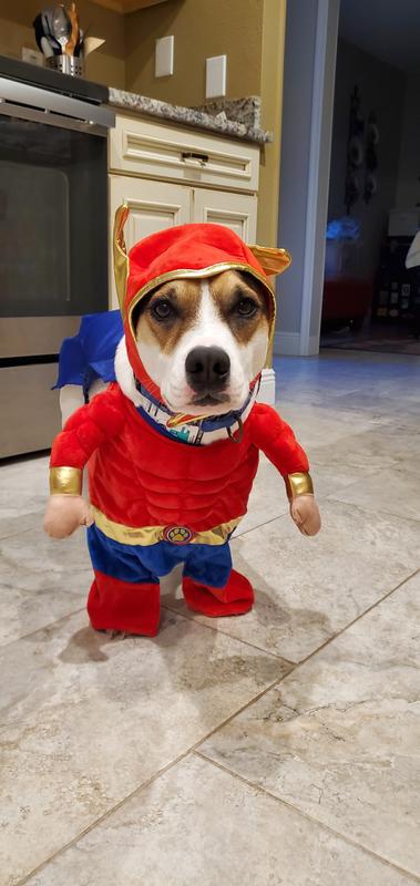 Product Reviews for FRISCO Front Walking Superhero Dog Cat Costume