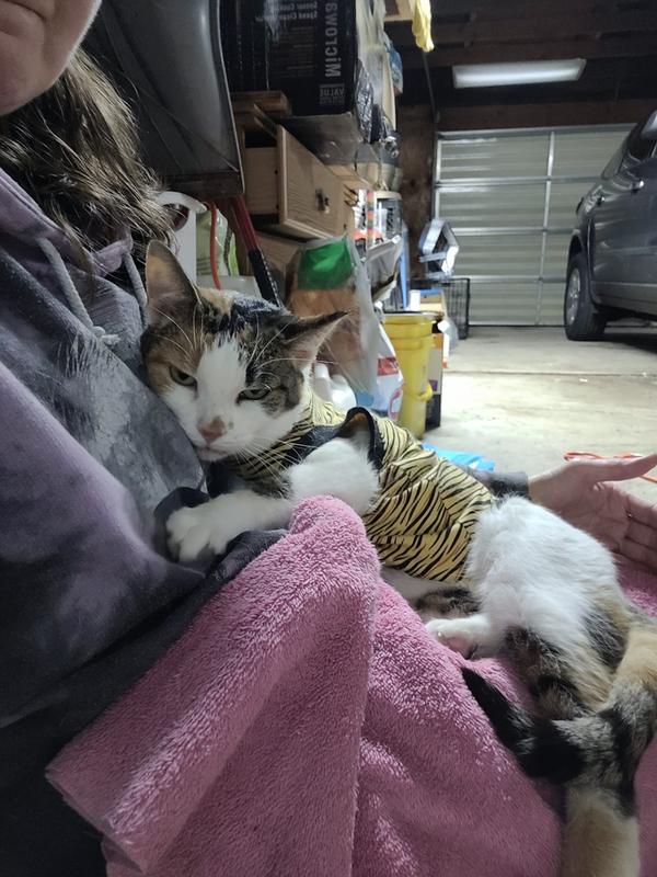 She did not mind the suit one bit! Drugs helped im sure but still happy with purchase!