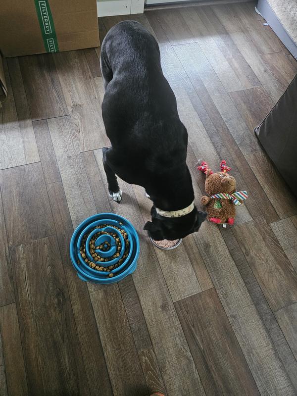 She picks Stella & Chewy's first when given a choice!