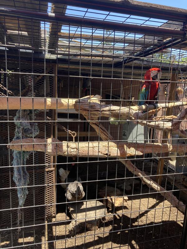 One big happy Familia