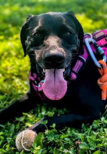 Rozlyn with her favorite toy!