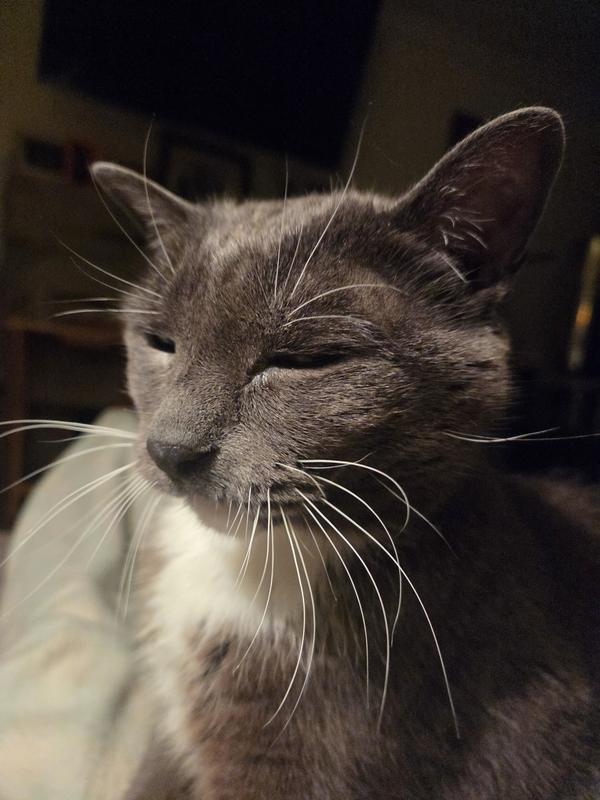 17 year old Stella!