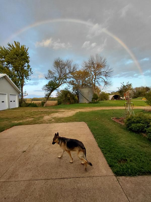 My eyes are feeling good.