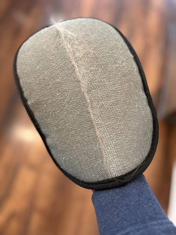 After only a couple of dozen swipes on the couch, the hair gathered into a strip that's easy to throw away.