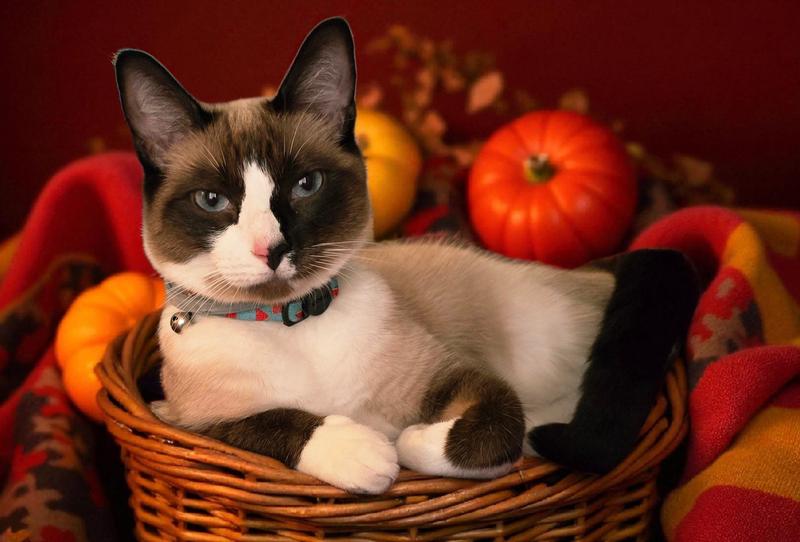 Feeling fresh and clean for photos!