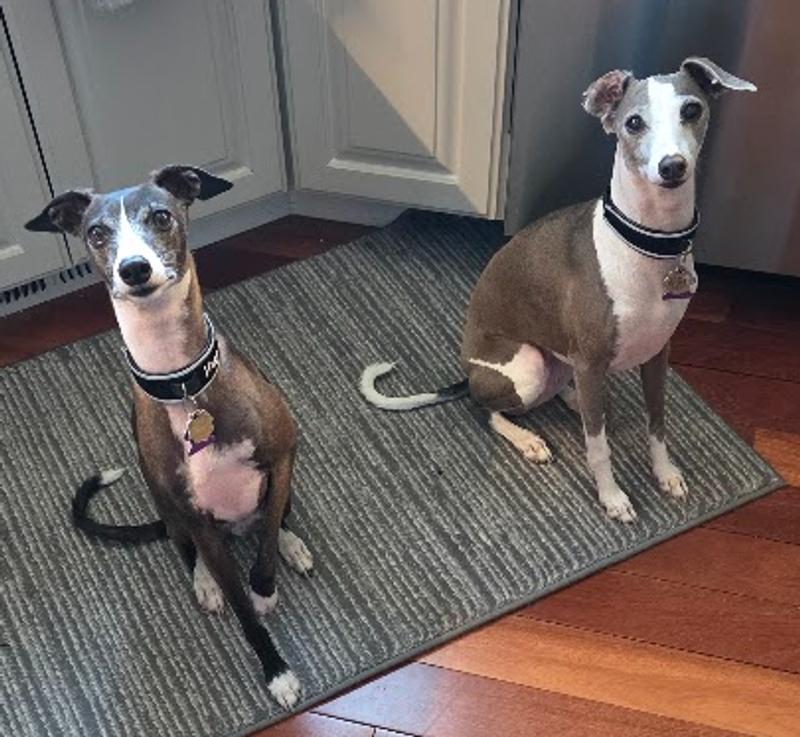 We'll even sit for this food....