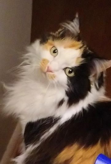 Don't hate me because I'm beautiful