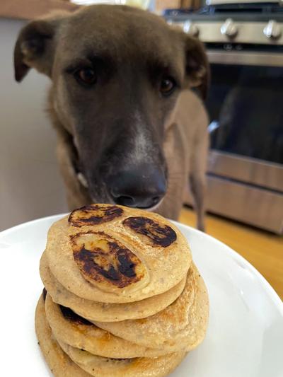 Yes please, Wally loves Bark Bistro pancake morning!