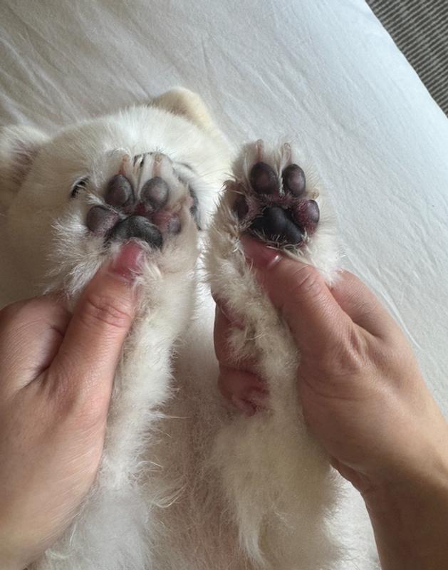 before on left/after on right