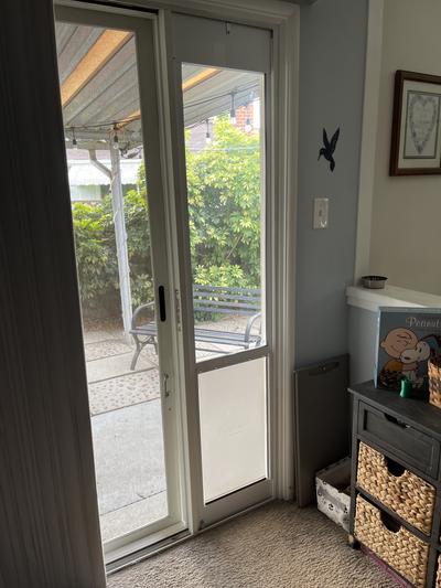 Temporary dog outlet door sliding door