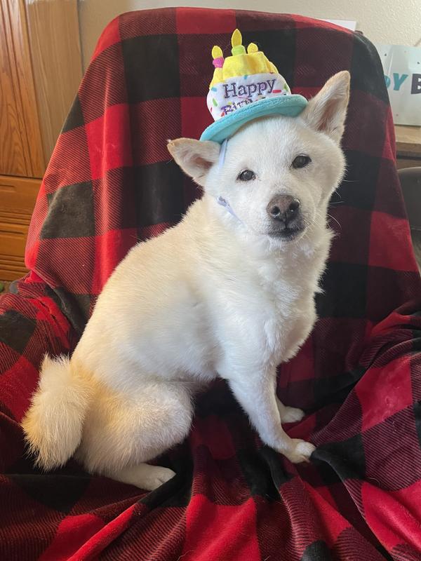 Fifteen years old and still rocking it!