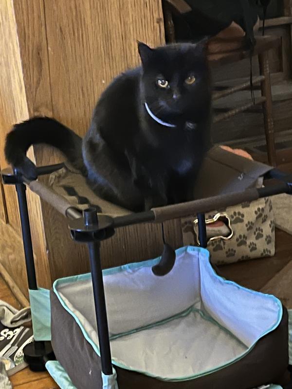 Perfect size for this little lady