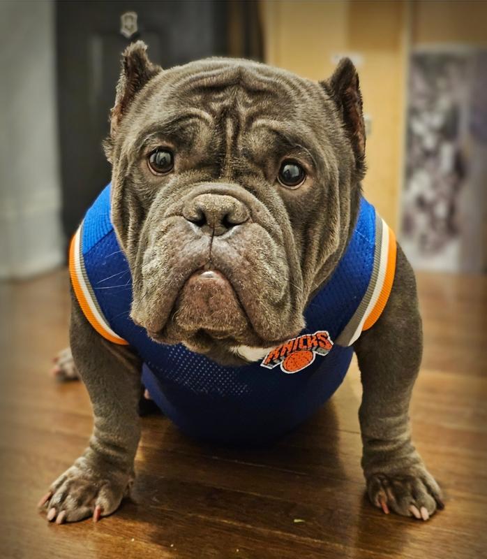 Die Hard Fan 🏀