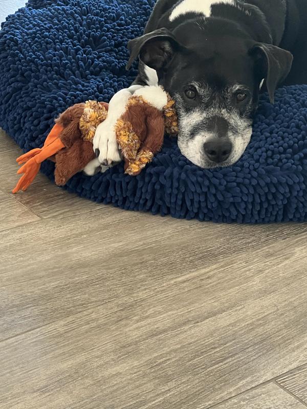 Harley loves this chicken but….