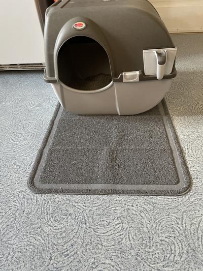 Roll n clean 2024 litter box reviews