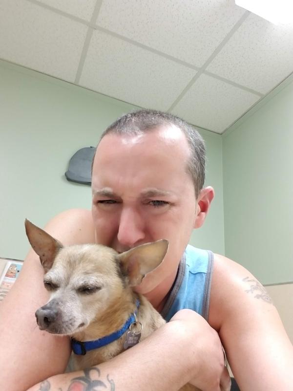 Here is Scrappy.. I should have picked a happier younger scrappy but I couldn't. This was when the vet told me it's almost time.
