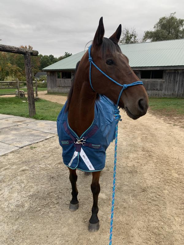 Looking great on my horse