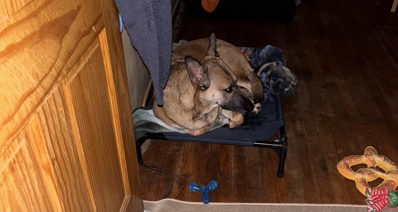 Loving her bed