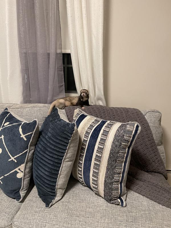 This is my baby, his name is Yeye