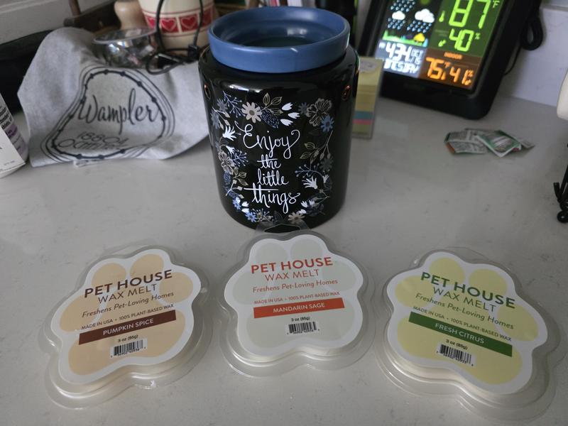 Pumpkin spice smells nice
