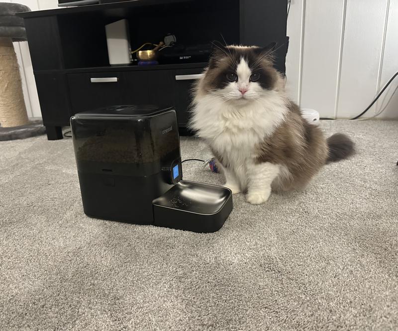 Muffy is very excited!