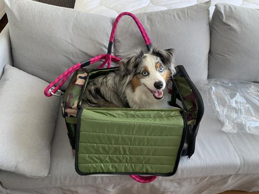 Roverlund Travel Airline-Approved Dog & Cat Carrier