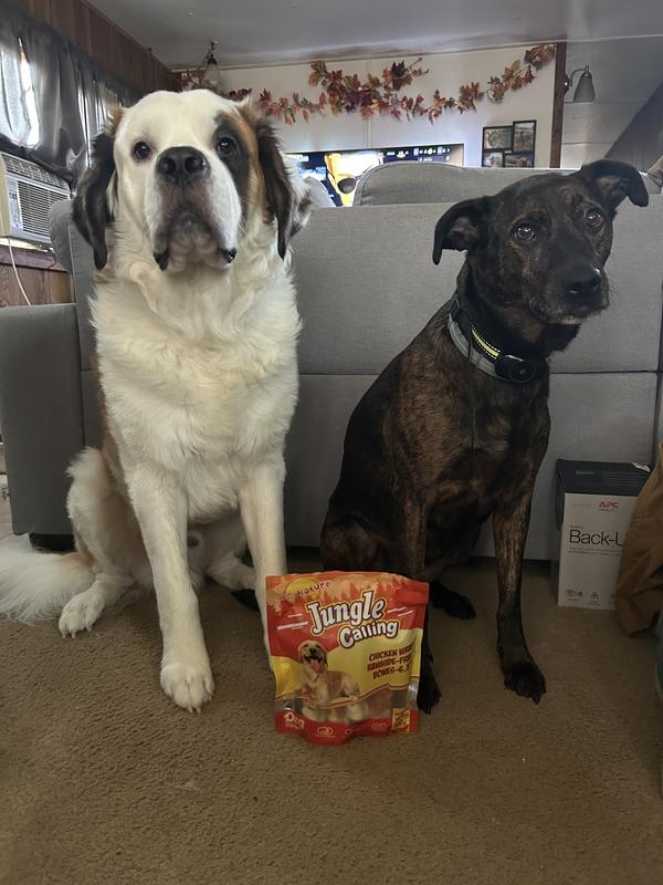 My happy doggies right before they got their treats!