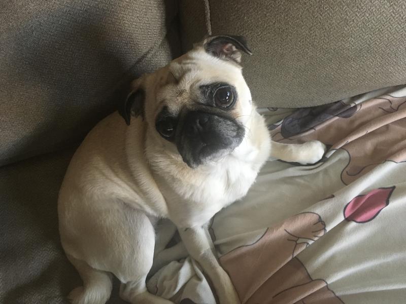 This is my sweet Hazel
