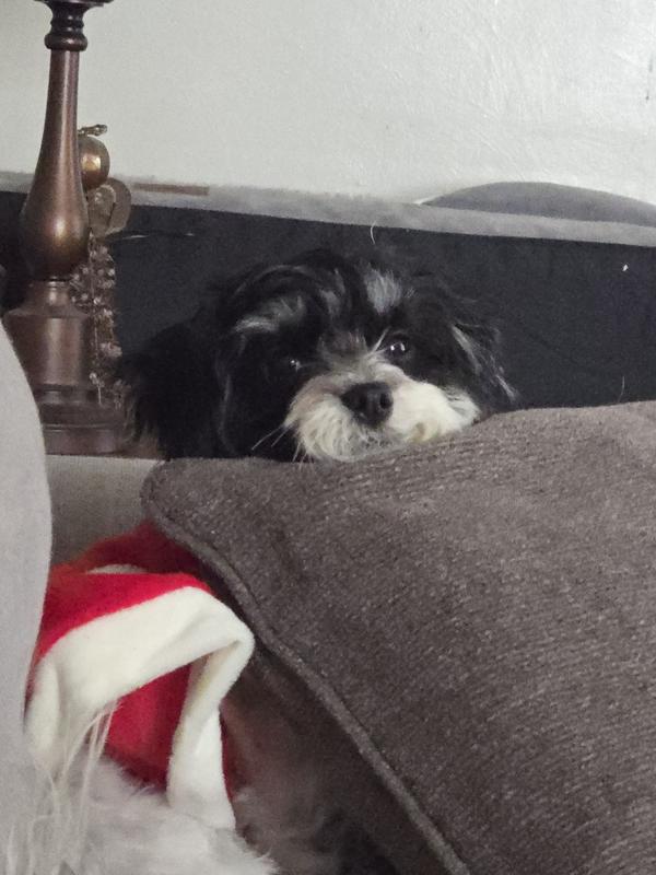 She is my baby that loves this food