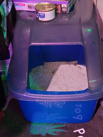 Van ness translucent enclosed cat litter pan sales